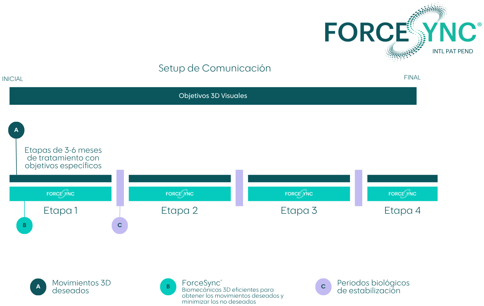 Setup de comunicación ForceSync: etapas con objetivos 3D, biomecánica y estabilización biológica